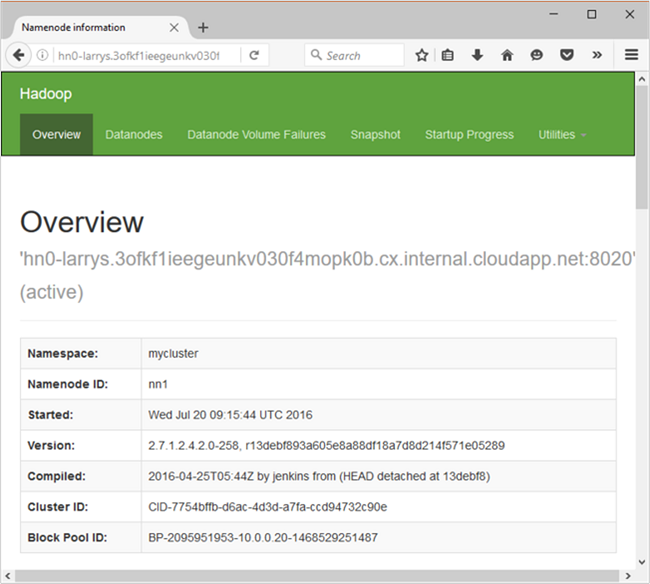 Hadoop NameNode UI 的图像。