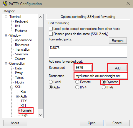 PuTTY 配置隧道选项。