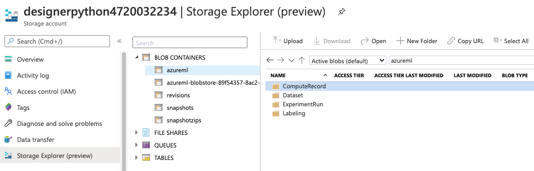 门户中存储帐户内 azureml 目录的屏幕截图