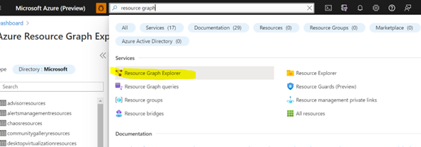 该屏幕截图显示了门户中的 Azure Resource Graph 资源管理器。