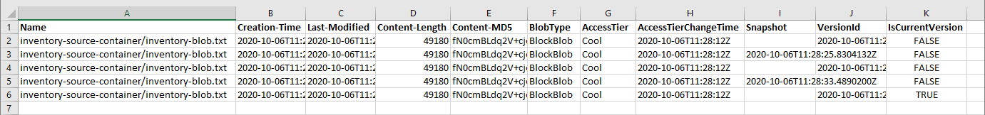 在 Microsoft Excel 中打开的清单 CSV 文件的屏幕截图