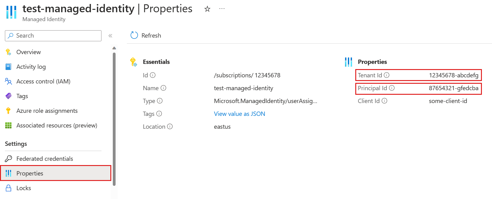 包含托管标识 ID 的 Azure 门户区域的屏幕截图。