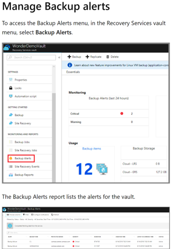 显示备份警报报告的屏幕截图。