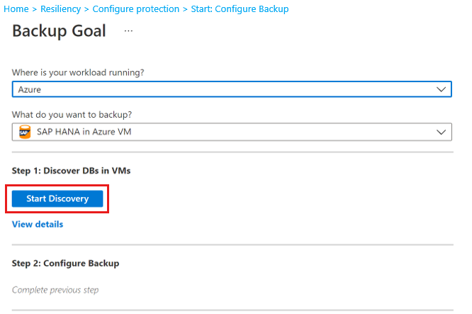 显示如何发现 HANA 数据库的屏幕截图。