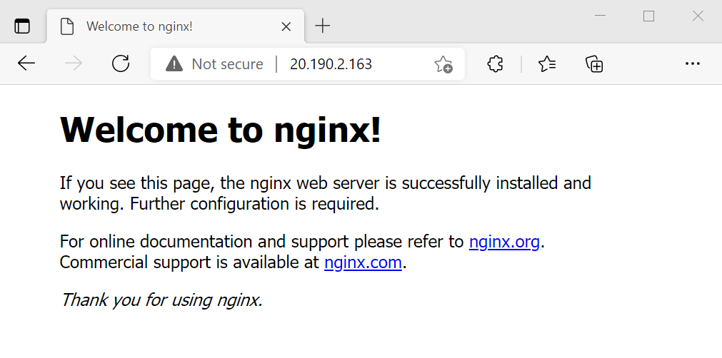 测试 NGINX Web 服务器的屏幕截图。