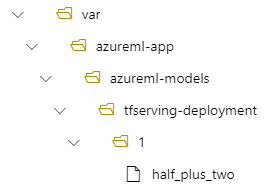 显示部署目录结构的树视图的屏幕截图。var/azureml-app/azureml-models/tfserving-mounted/1 路径可见。