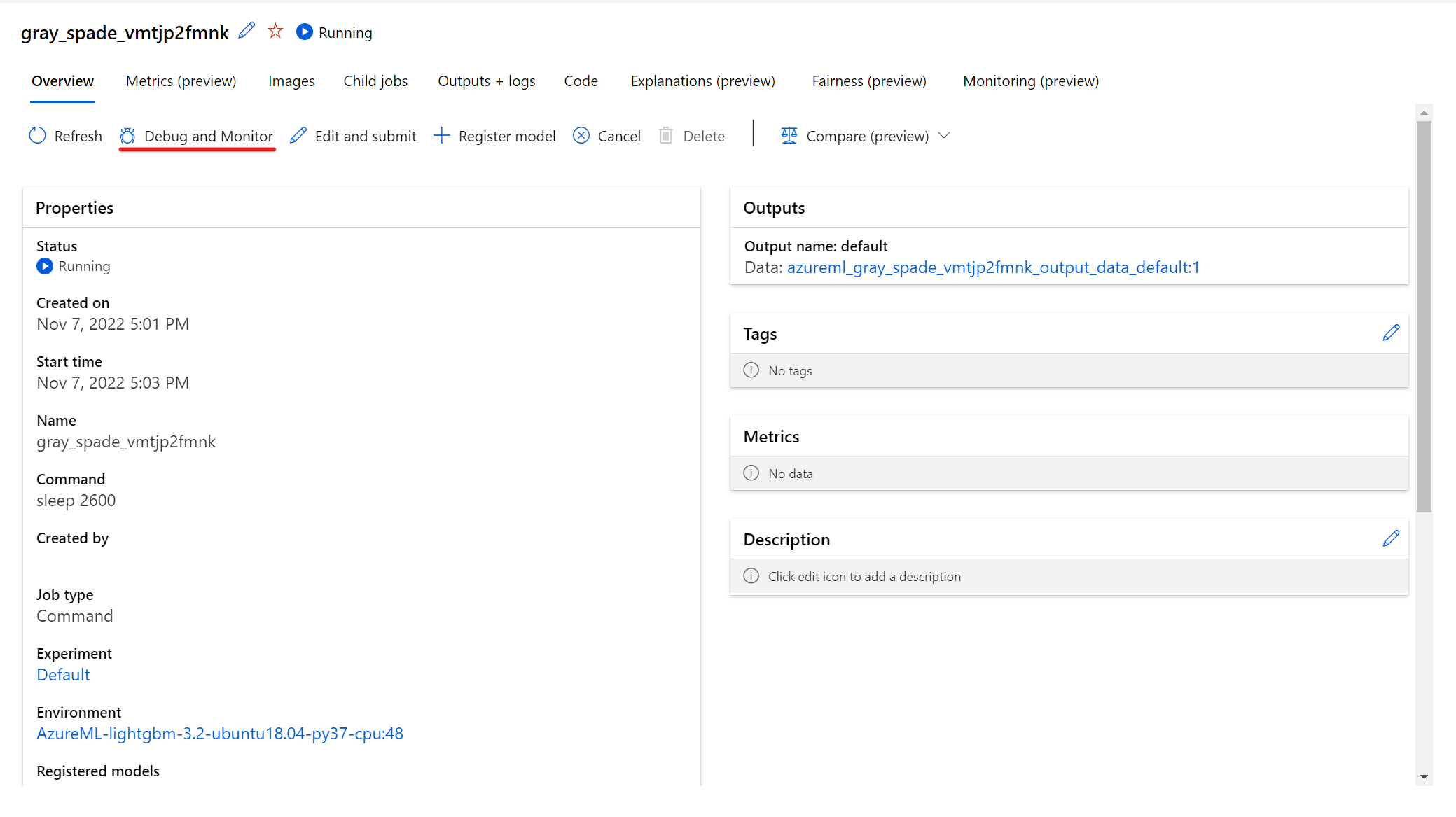 有关交互式作业的屏幕截图：“调试和监视”面板位置。