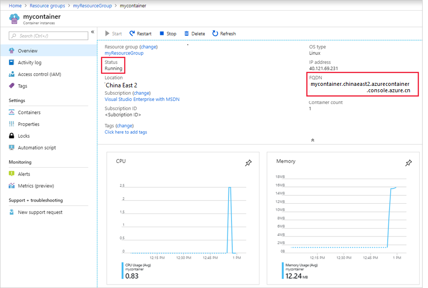 Container group overview in the Azure portal