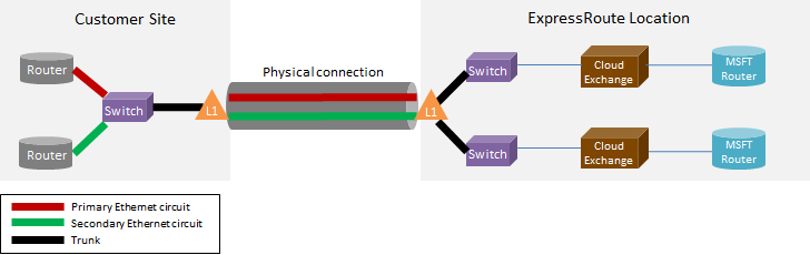 示意图，突出显示了第 1 层 (L1) 的主要和次要虚拟线路，这些线路构成客户站点上的交换机与 ExpressRoute 位置之间的物理连接。