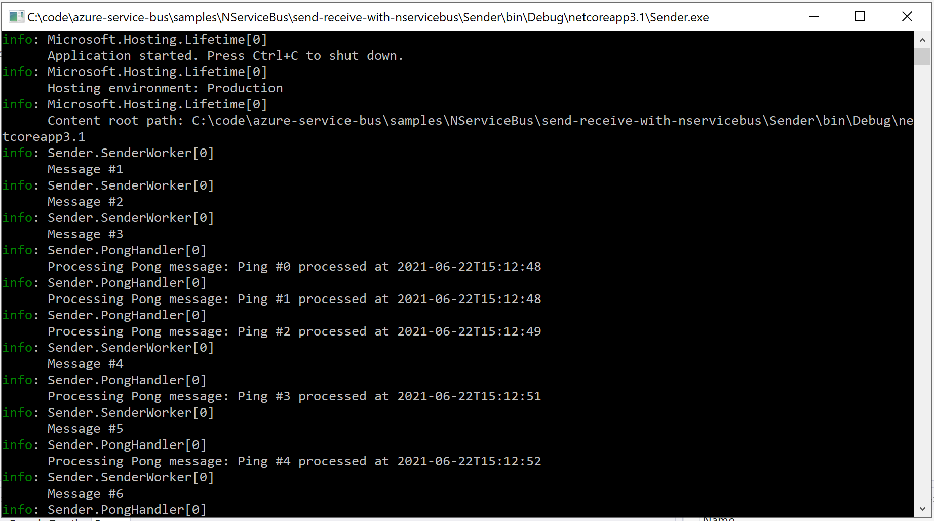 Image showing the endpoint sending Ping messages to Receiver
