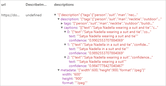 Screenshot of the expected output of the description of the image of Satya Nadella.
