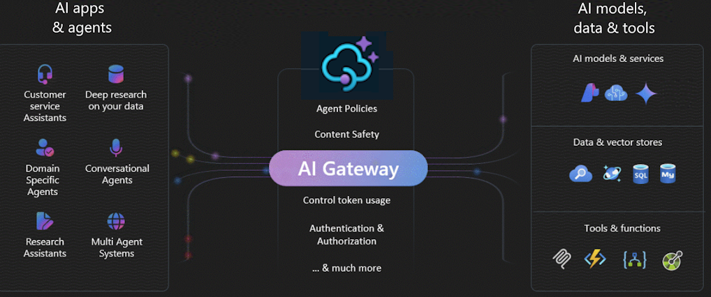 图表汇总了 Azure API Management 的 AI 网关功能。