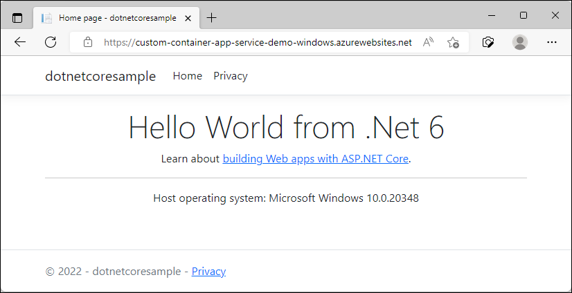 Windows 应用服务的屏幕截图，其中提示没有公开端口的容器将在后台模式下运行。