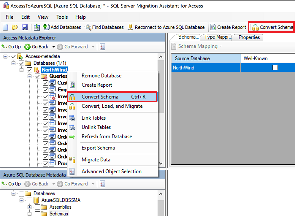 “Access 元数据资源管理器”窗格上“转换架构”命令的屏幕截图。
