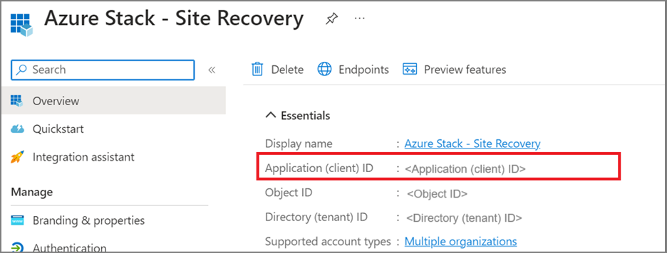 显示“应用程序 ID”的门户页的屏幕截图。