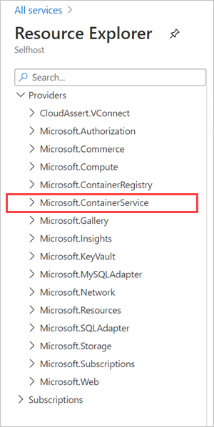 在资源浏览器中检查 Microsoft.ContainerService。