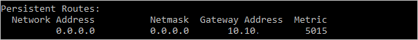 The added route is shown as a Persistent Route with Gateway Address 10.10.11.1 and Metric 5015.