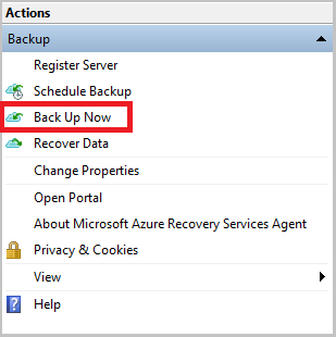 屏幕截图显示了 Windows Server 中的“立即备份”选项。