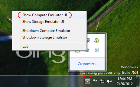 Start the Compute Emulator UI