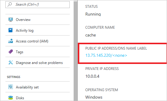 显示在 Azure 门户中显示的虚拟机的公共 IP 地址的屏幕截图