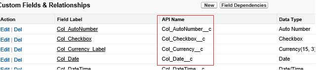 显示 Salesforce 连接 API 名称列表的屏幕截图。