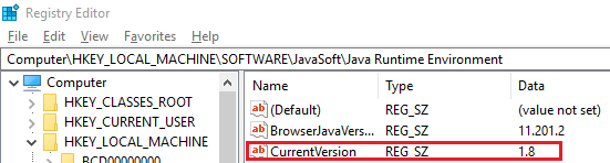 屏幕截图：显示 Java Runtime Environment。