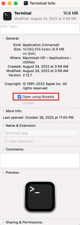 配置为使用 Rosetta 打开的终端的屏幕截图