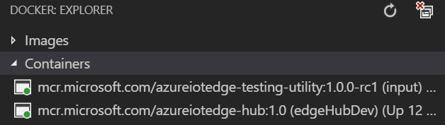 屏幕截图显示了 Visual Studio Code 的“Docker 资源管理器”窗格中的模拟器模块状态。