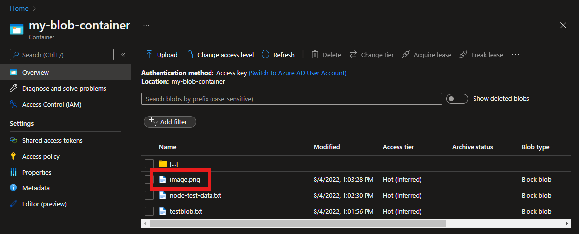 在 Azure 门户中查看上传的文件的屏幕截图。