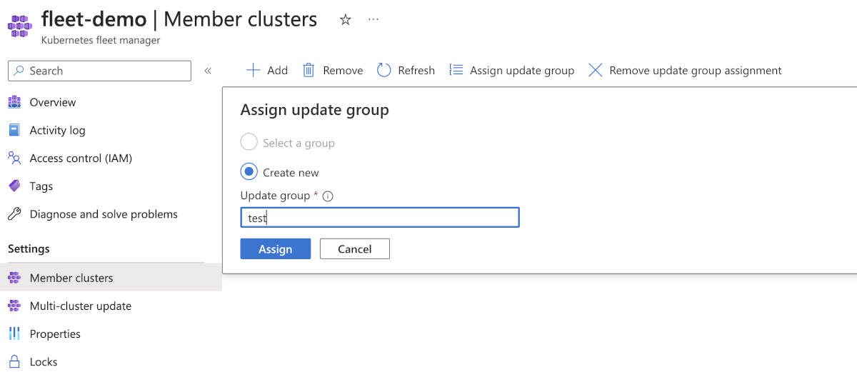 成员群集的 Azure 门户页的屏幕截图，其中显示了一个表单，用于更新成员群集的组。