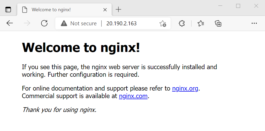 Screenshot of testing the NGINX web server.