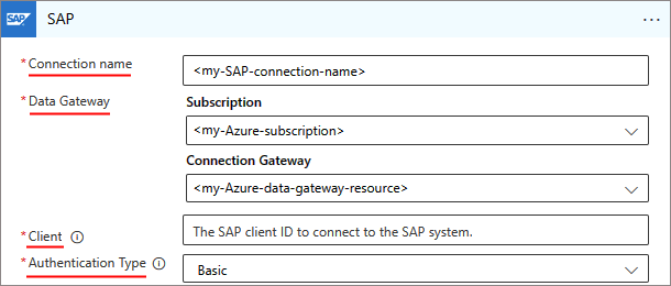 显示消耗的 SAP 连接设置的屏幕截图。