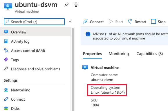 Screenshot of portal showing DSVM properties including OS version