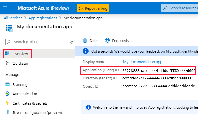 新应用的“概述”页的屏幕截图。应用程序 ID 不可加密，并突出显示。