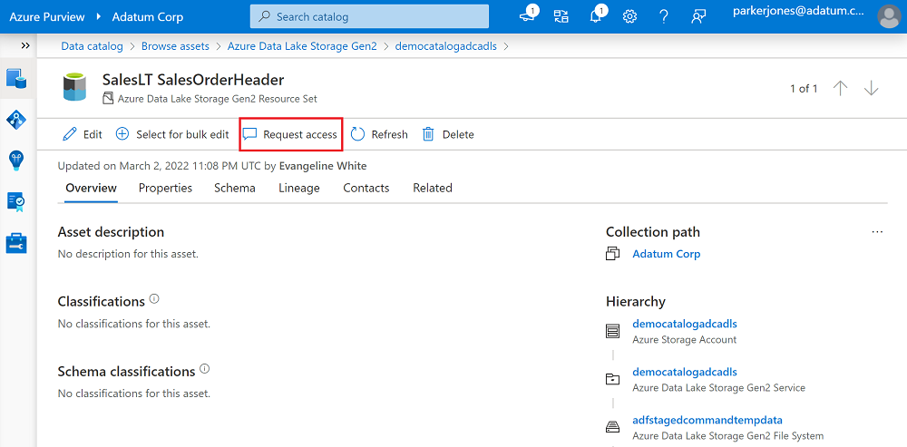 数据资产的概述页的屏幕截图，其中突出显示了用于请求访问权限的按钮。