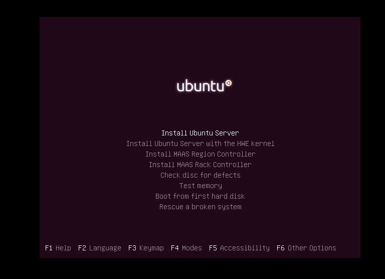 选择“安装 Ubuntu 服务器”