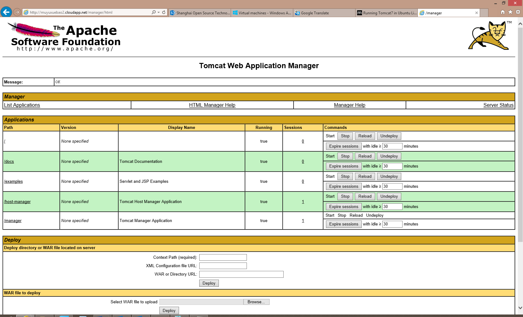 Screenshot of the Tomcat Web Application Manager