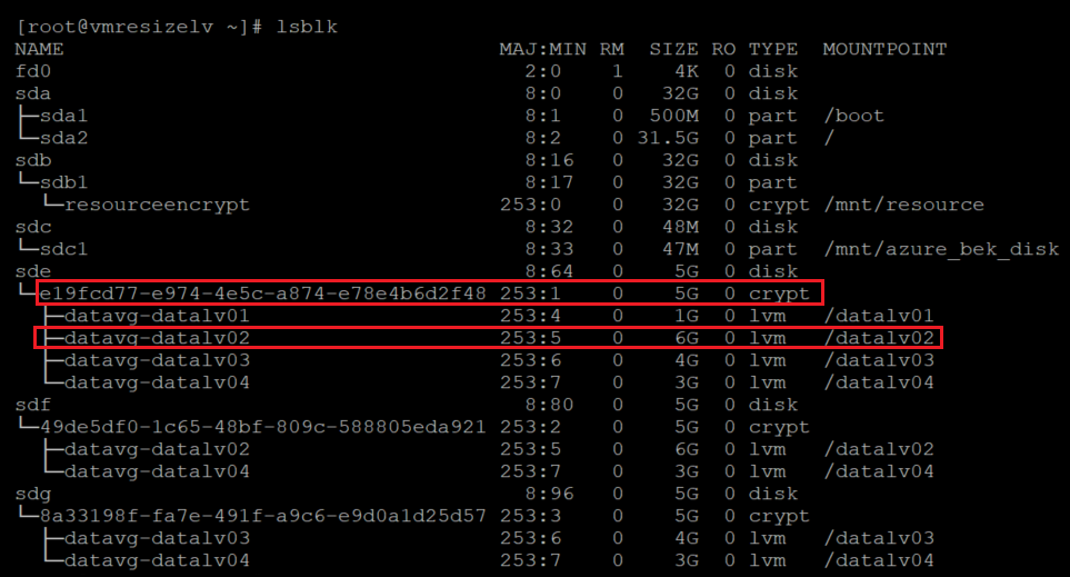 Screenshot showing the result of the l s b l k command. The output is highlighted. It shows the encrypted layer.
