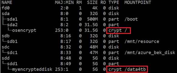 OS crypt layer for a partition