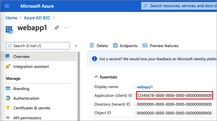 屏幕截图显示了如何获取 Angular 应用程序 ID。