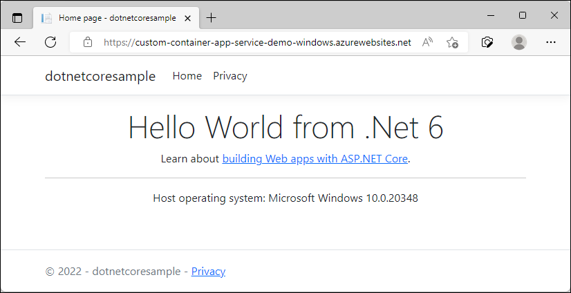 显示 Windows 应用服务的屏幕截图。