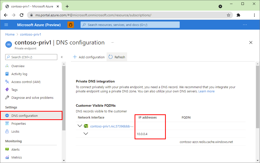 在 Azure 门户中，专用终结点 DNS 设置。