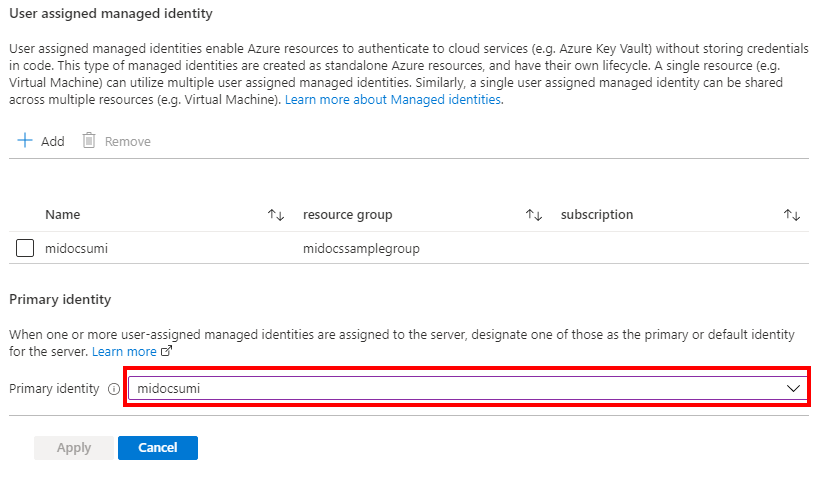 在 Azure 门户中选择服务器的主要身份的屏幕截图。