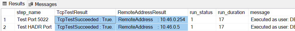 显示 SSMS 中测试结果的输出的屏幕截图。