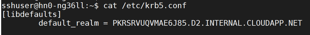 Hive 仓库连接器 AAD 域的屏幕截图。