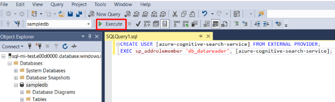 显示如何执行 SQL 查询的屏幕截图。