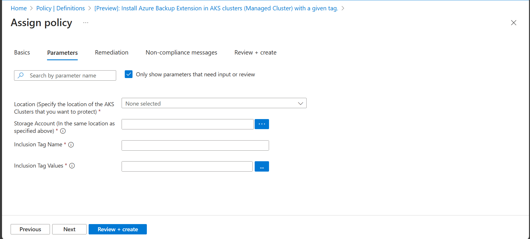显示“策略分配参数”窗格的屏幕截图。