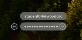 用户输入其凭据的 macOS 登录框的屏幕截图。