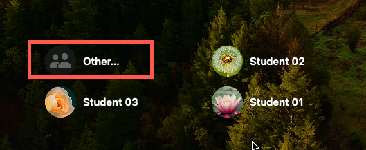 macOS 登录屏幕的屏幕截图。
